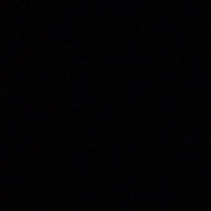 Meet your Posher, Shelby